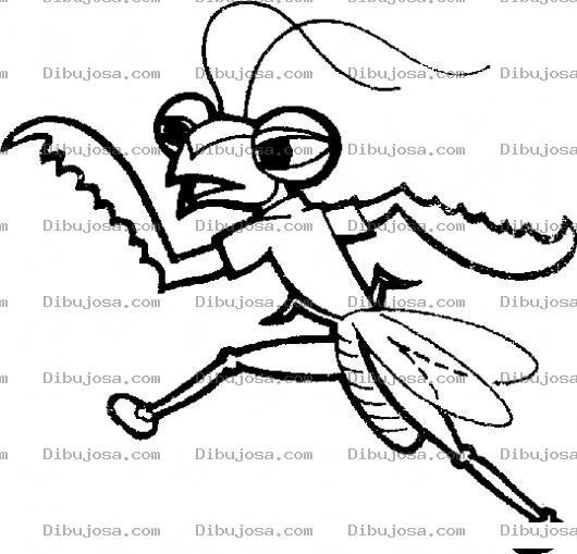 Dibujo para colorear Dibujo De Mantis Religiosa Langosta Quiebra Palitos Para Pintar Y Colorear