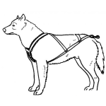 Dibujo para colorear Perro Con Arnes Para Pintar Y Colorear