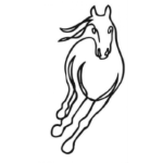 Dibujo para colorear Dibujo De Caballo Corriendo De Frente Para Pintar Y Colorear