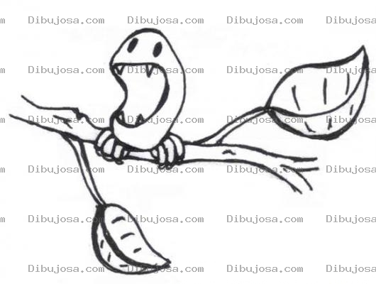 Dibujo para colorear Dibujo De Pajarito Dracula Para Pintar Y Colorear Pajarito Con 4 Colmillos