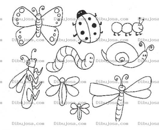 Dibujo para colorear Dibujos De Animalitos Del Bosque Para Pintar Y Colorear