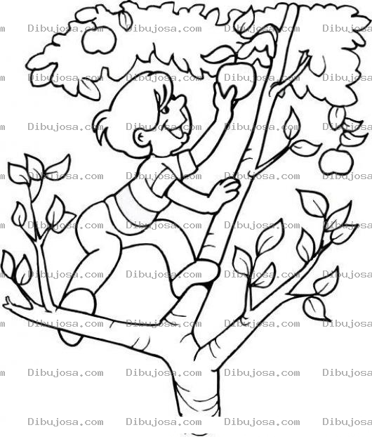Dibujo para colorear Nino Cortando Manzanas En Arbol De Manzanas Para Pintar Y Colorear