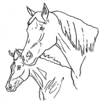 Dibujo para colorear dos cabezas de caballos para dibujar
