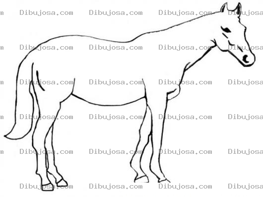 Dibujo para colorear cvaballo grande para colorear