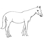 Dibujo para colorear cvaballo grande para colorear