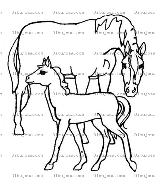 Dibujo para colorear dos caballos para pintar