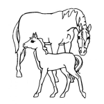 Dibujo para colorear dos caballos para pintar
