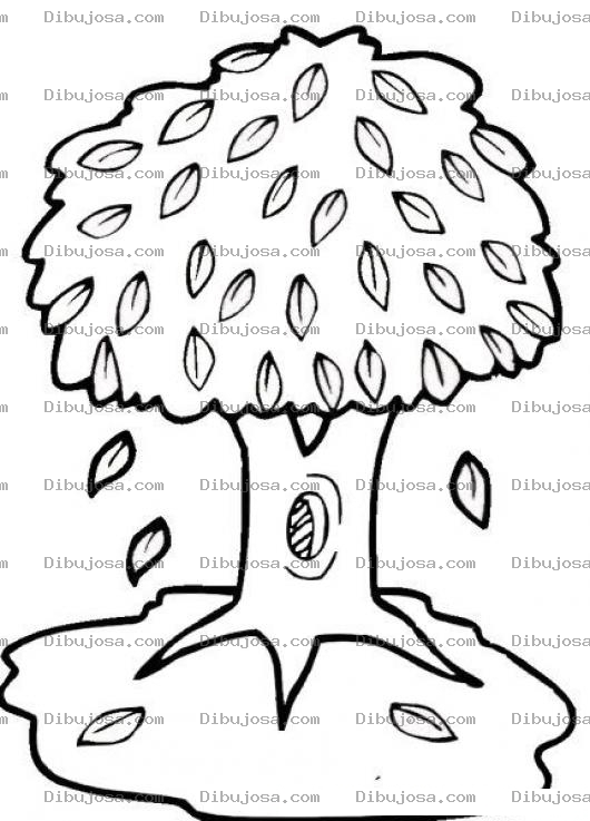 Dibujo para colorear Dibujo De Arbol Botando Hojas Para Pintar Y Colorear