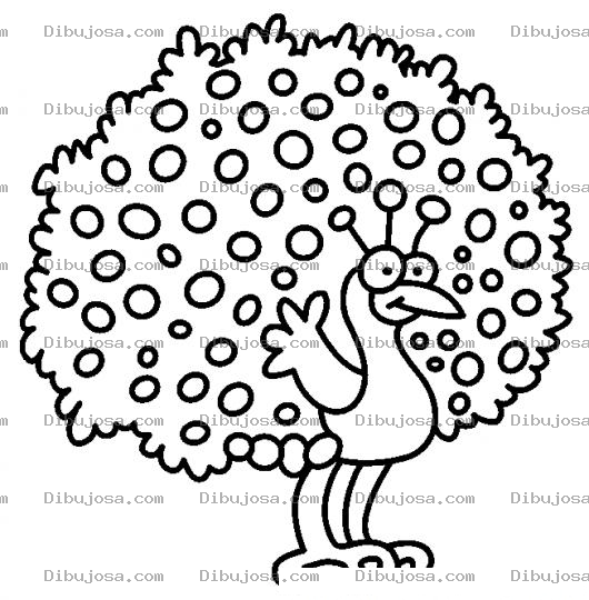 Dibujo para colorear Dibujo De Pavoreal Para Imprimir Y Colorear