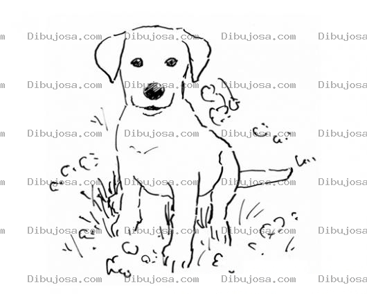 Dibujo para colorear Dibujo De Perrito Cachorrito Tierno Y Cute Para Pintar Y Colorear Perrito Lindo Y Bonito