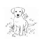 Dibujo para colorear Dibujo De Perrito Cachorrito Tierno Y Cute Para Pintar Y Colorear Perrito Lindo Y Bonito