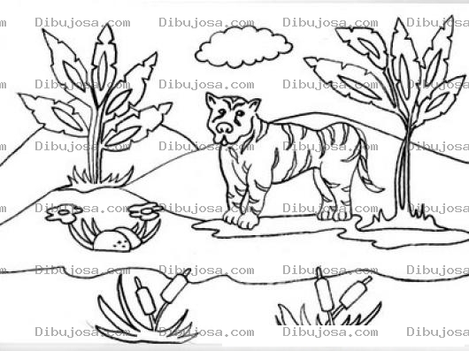 Dibujo para colorear Dibujo De Tigre Frente A Una Laguna Para Pintar Y Colorear