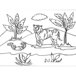 Dibujo para colorear Dibujo De Tigre Frente A Una Laguna Para Pintar Y Colorear