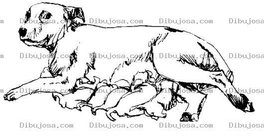 Dibujo para colorear Dibujo De Perra Dando De Mama A Sus Cachorros Para Pintar Y Colorear Chucha Dando De Mama