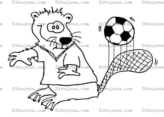 Dibujo para colorear Dibujo De Castor Con Pelota De Futbol Para Pintar Y Colorear Marmota Jugando Pelota