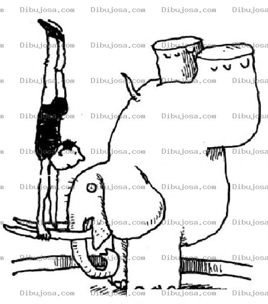 Dibujo para colorear Dibujo De Elefante De Circo Equilibrista Para Pintar Y Colorear