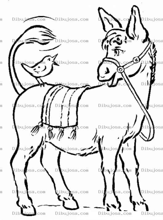 Dibujo para colorear Dibujo De Pajaro Hablando Con Burro Para Pintar Y Colorear Burrito Y Pajarito