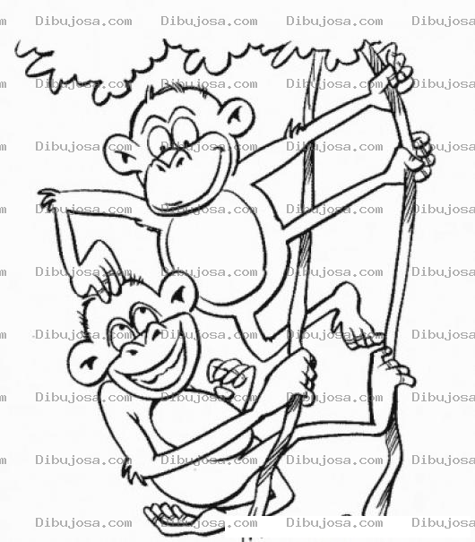 Dibujo para colorear Primates Contentos Dibujo De 2 Monos Colgango De Lianas Para Pintar Y Colorear Micos Haciendose Carinito