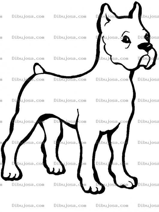 Dibujo para colorear Dibujo De Cachorrito Pitbull Para Pintar Y Colorear