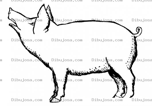 Dibujo para colorear Dibujo De Puerco Guarreando Para Pintar Y Colorear La Guarreria De Un Coche El Grunido Oinkeo Y Guarreo De Un Marrano Oznando