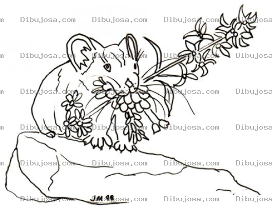 Dibujo para colorear Raton Con Flores Para Pintar Y Colorear