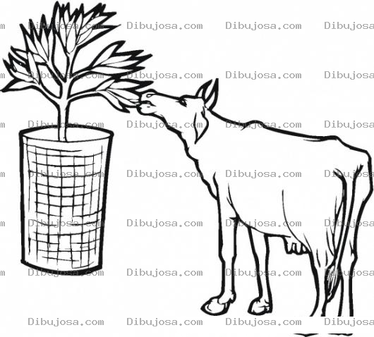 Dibujo para colorear Dibujo De Una Vaca Comiendoce Na Planta Sembrada En Una Maceta Para Pintar Y Colorear
