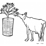 Dibujo para colorear Dibujo De Una Vaca Comiendoce Na Planta Sembrada En Una Maceta Para Pintar Y Colorear