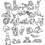 Dibujo para colorear Animalessalvajes Dibujo De Animales Salvajes Para Imprimir Colorear Y Pintar