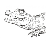Dibujo para colorear Colorear Cabeza De Lagarto