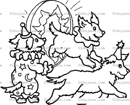 Dibujo para colorear Perritos De Circo Para Pintar Y Colorear Perritos Saltando En Un Aro Para Imprimir