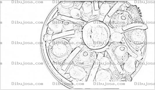 Dibujo para colorear Dibujo De Fiambre De Guatemala Para Pintar Y Colorear