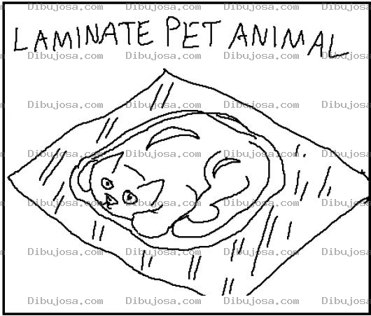 Dibujo para colorear Palindrome Dibujo Para Pintar Y Colorear Palabra Palindrome En Ingles Laminatepetanimal