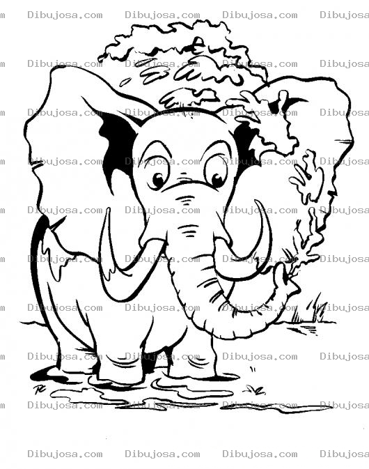Dibujo para colorear Dibujo De Elefante Banandose En El Rio Echandose Agua Encima El Mismo Con Su Trompa Para Pintar Y Colorear