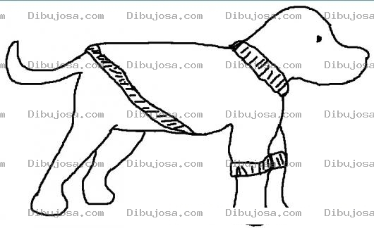 Dibujo para colorear Dibujo De Perro Con Sueter Para Pintar Y Colorear Perrito Con Sweater De Lana