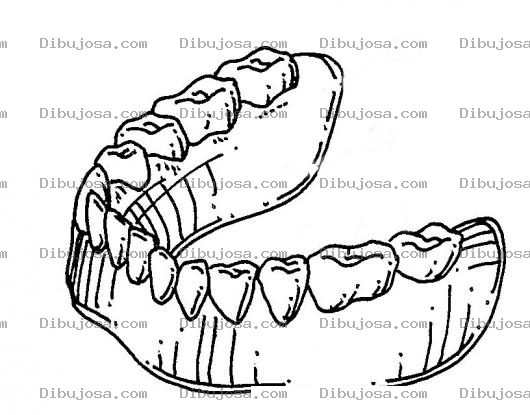 Dibujo para colorear Dibujo De Dentadura Inferior Para Pintar Y Colorear Placa De Dientes