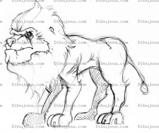 Dibujo para colorear Dibujo De Leon Bravo Para Pintar Y Colorear