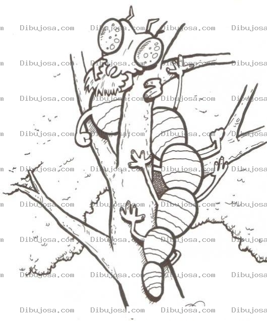 Dibujo para colorear Dibujo De Oruga Subida En Un Arbol Para Pintar Y Colorear Gusano Caterpillar En Un Arbolito