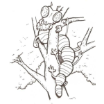 Dibujo para colorear Dibujo De Oruga Subida En Un Arbol Para Pintar Y Colorear Gusano Caterpillar En Un Arbolito