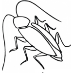Dibujo para colorear Dibujo De Cucaracha Para Pintar Y Colorear Cucacuca
