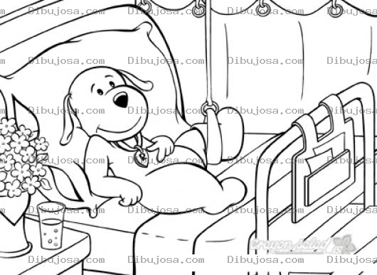 Dibujo para colorear Hospital Veterinario De Perros Dibujo De Perro Quebrado Y Enyesado Postrado En Una Cama Para Pintar Y Colorear