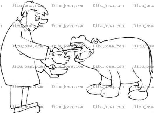 Dibujo para colorear Servicios Veterinarios Dibujo De Veterinario Examinando A Un Hipopotamo Para Pintar Y Colorear