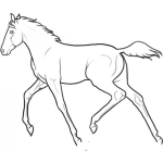 Dibujo para colorear Caballos Y Potrillos Dibujo De Caballito Joven Para Pintar Y Colorear