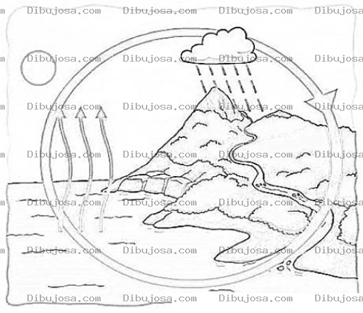 Dibujo para colorear Ciclo del Agua Ecosistema Del Agua Dibujo Del Ciclo Del Agua Para Pintar Y Colorear