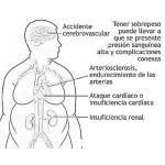Dibujo para colorear Enfermedades Del Sobrepeso Dibujo De Los Riesgos De La Obesidad Para Pintar Y Colorear Problemas Del Exeso De Peso En Masa Corporal Para Pintar Y Colorear