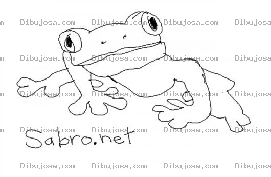 Dibujo para colorear Ranita de Sabro