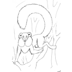 Dibujo para colorear Dibujo De Mono Con Cola De Zorro Para Pintar Y Colorear