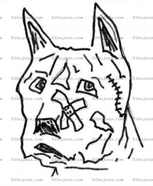 Dibujo para colorear Veterinarias Dibujo De Perrito Raza Pitbull Mordido Y Lastimado En Una Pelea De Perros Para Pintar Y Colorear