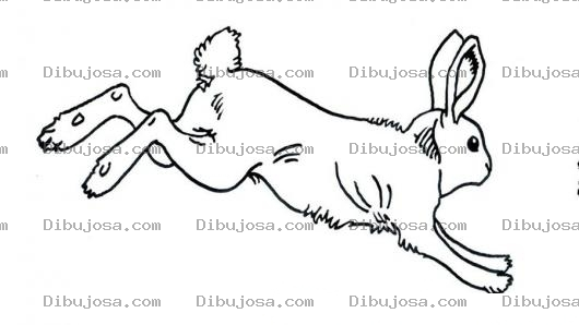 Dibujo para colorear Conejo Saltando Para Pintar Y Colorear El Salto Del Conejo