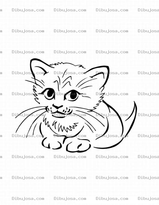Dibujo para colorear Gatito Cachorrito Dibujo De Gatito Bebe Y Cachorrito Para Pintar Y Colorear