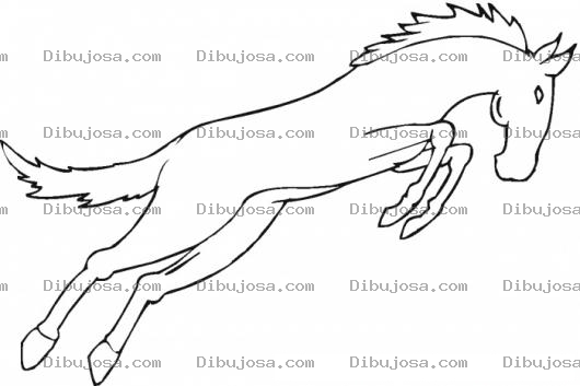 Dibujo para colorear El Salto Del Caballo Dibujo De Caballo Saltando Para Pintar Y Colorear